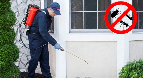 Gökdere Kene İlaçlama böcek ilaçlama ve haşere kontrolü — ilaclama-tr.com
